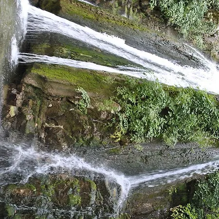 4-يو 4* ميتامورفوسي