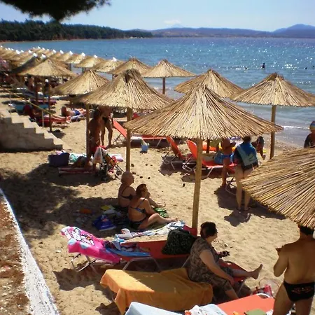 4-يو شقة فندقية